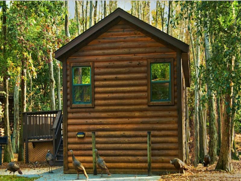 The Cabins At Disney'S Fort Wilderness Resort Lake Buena Vista Extérieur photo